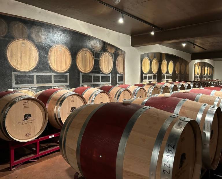 Rows of wooden wine barrels in a dimly lit cellar.